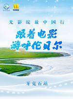 夜色综合